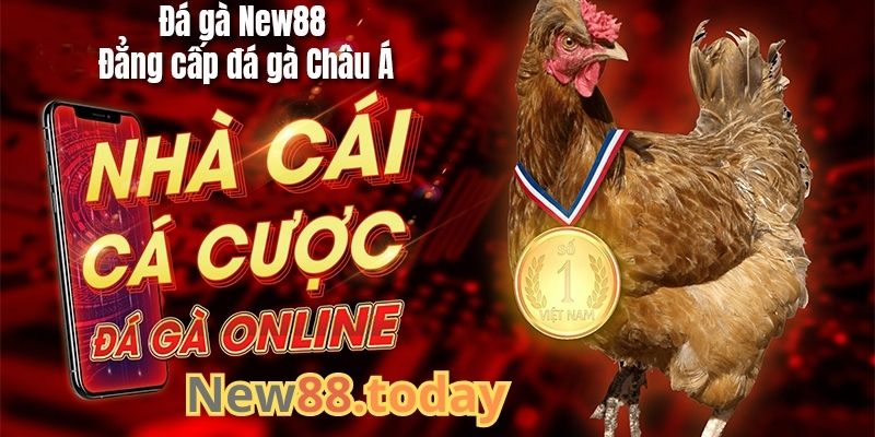Tổng quan về nhà cái đá gà KU BET