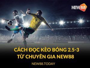 Cách đọc kèo bóng 2.5-3 từ chuyên gia KU BET