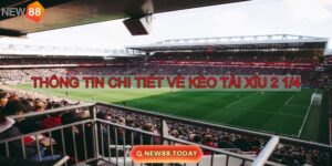 Khám phá kèo tài xỉu 2 1/4 cùng Ku Bet