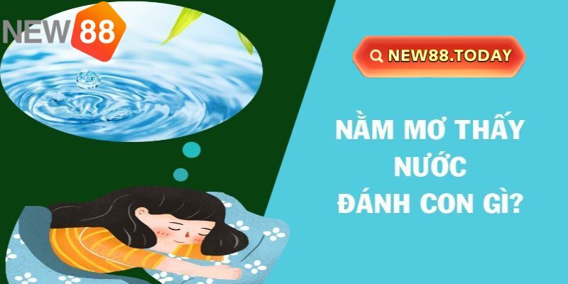 Nằm mơ thấy nước và những điềm báo cá cược hấp dẫn