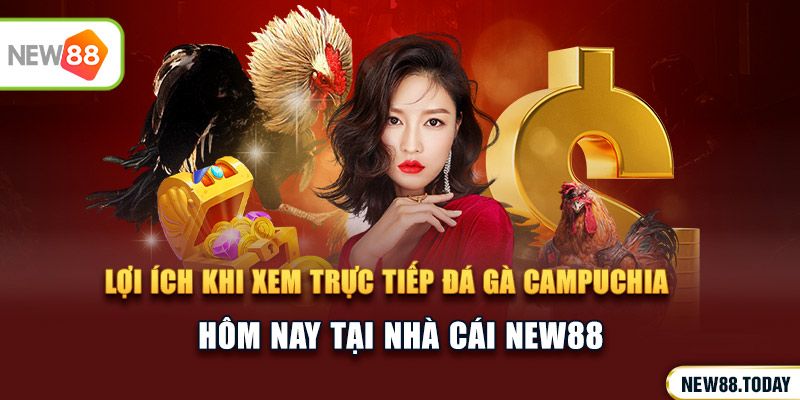Lợi ích khi xem trực tiếp đá gà hôm nay tại Ku Bet