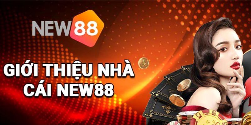 Tầm quan trọng của bộ phận hỗ trợ Ku Bet