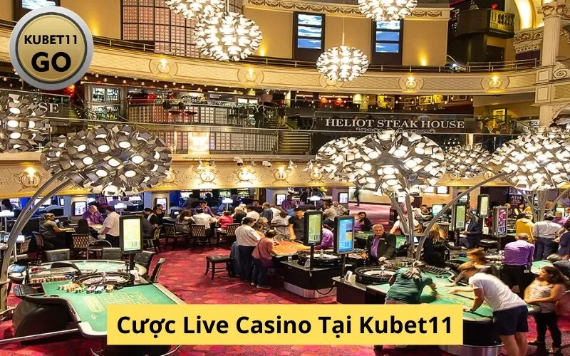 Cược Live Casino Tại Kubet