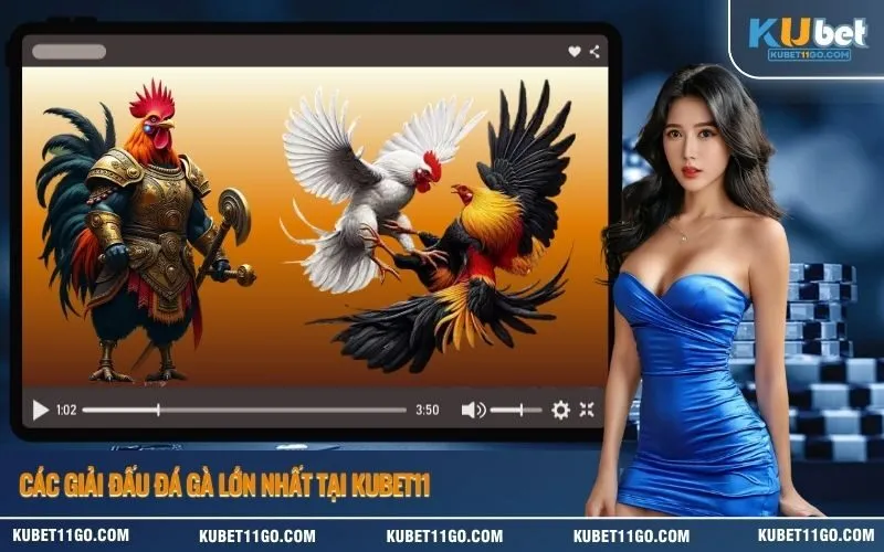 Các Giải Đấu Đá Gà Lớn Nhất Tại Kubet