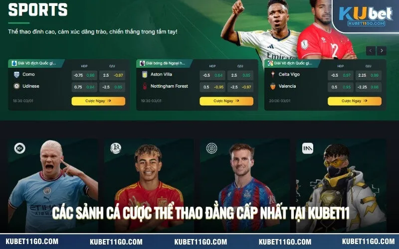 Các sảnh cá cược thể thao đẳng cấp nhất tại Kubet
