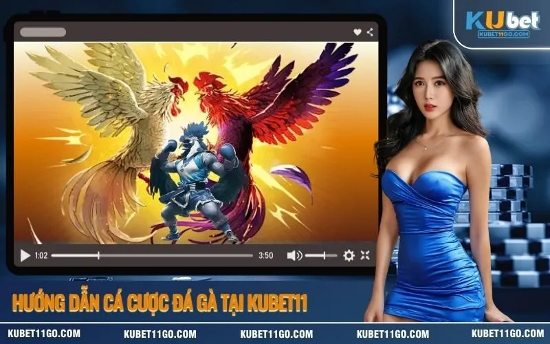 Hướng Dẫn Cá Cược Đá Gà Tại Kubet